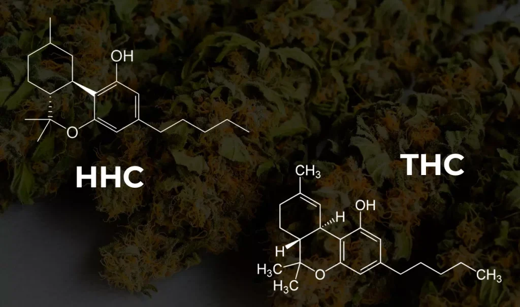 diferencias-hhc-thc