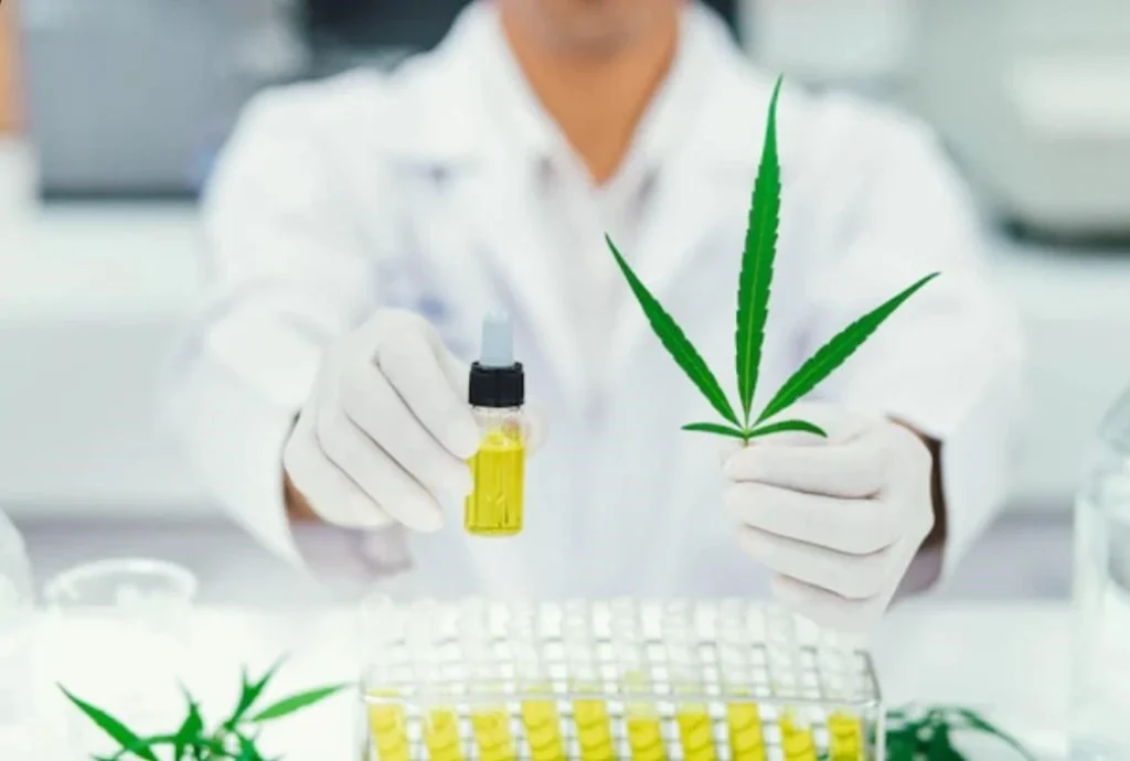 método-extracción-con-aceites