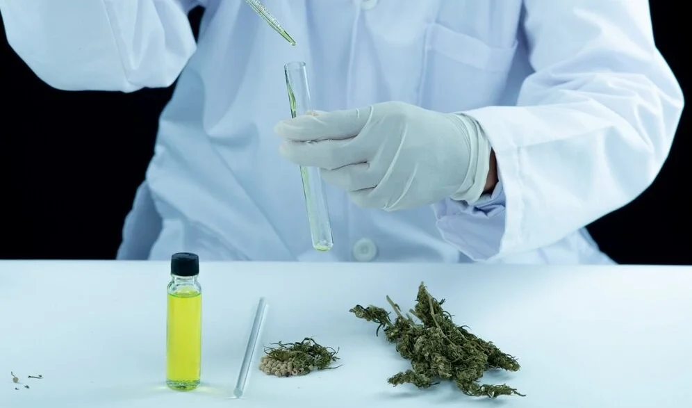 análisis flores cbd