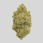 Gorilla Frost HHCO flor