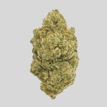 Gorilla Frost HHCO flor