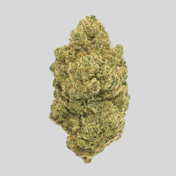 Gorilla Frost HHCO flor