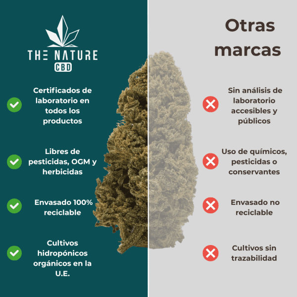 Comparativa flor Amnesia CBD