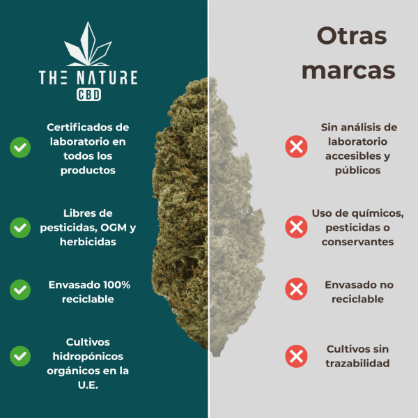 Comparativa flor Super Lemon Haze