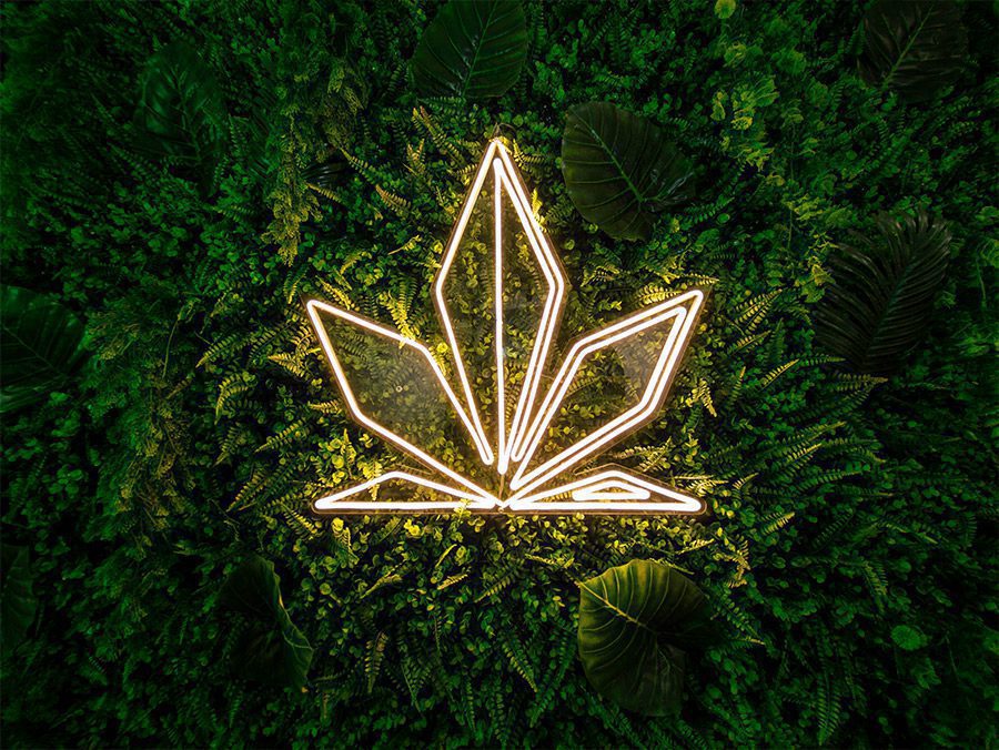 Foto-del-loca-TheNatureCBD-Luna-9-03